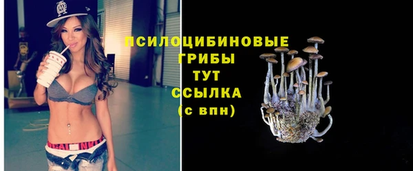 шишки Иннополис