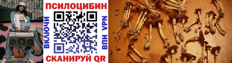 Купить закладки  Каргат  Псилоцибиновые грибы мухоморы 